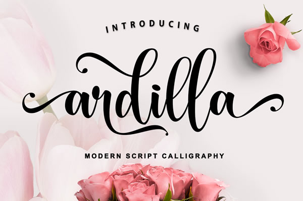 Ardilla Font
 Download For Free Officially
