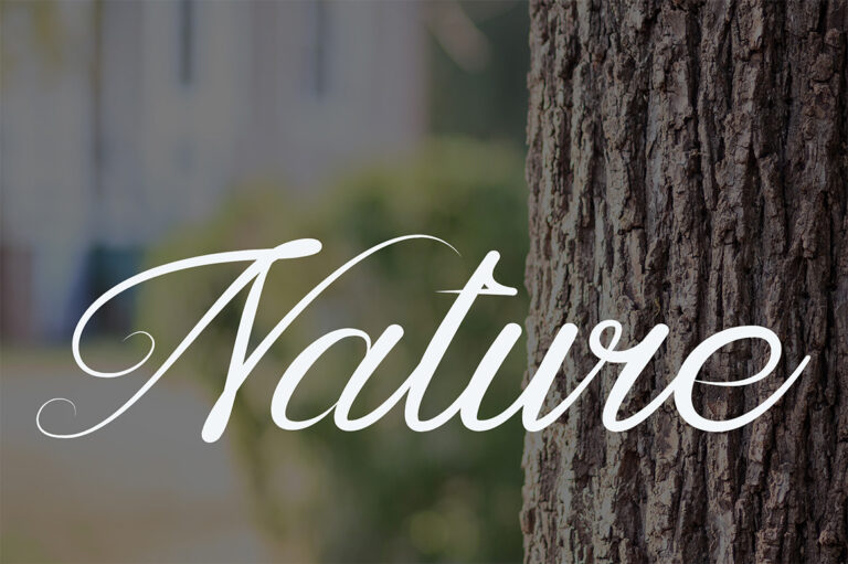 Luxury Font
 Download For Free Officially